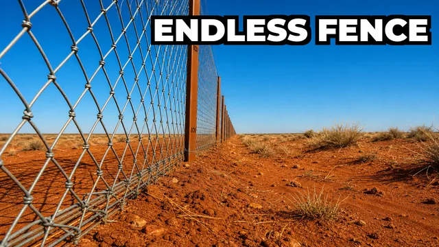 What Is Australia's Dingo Fence and Why Was It Built?