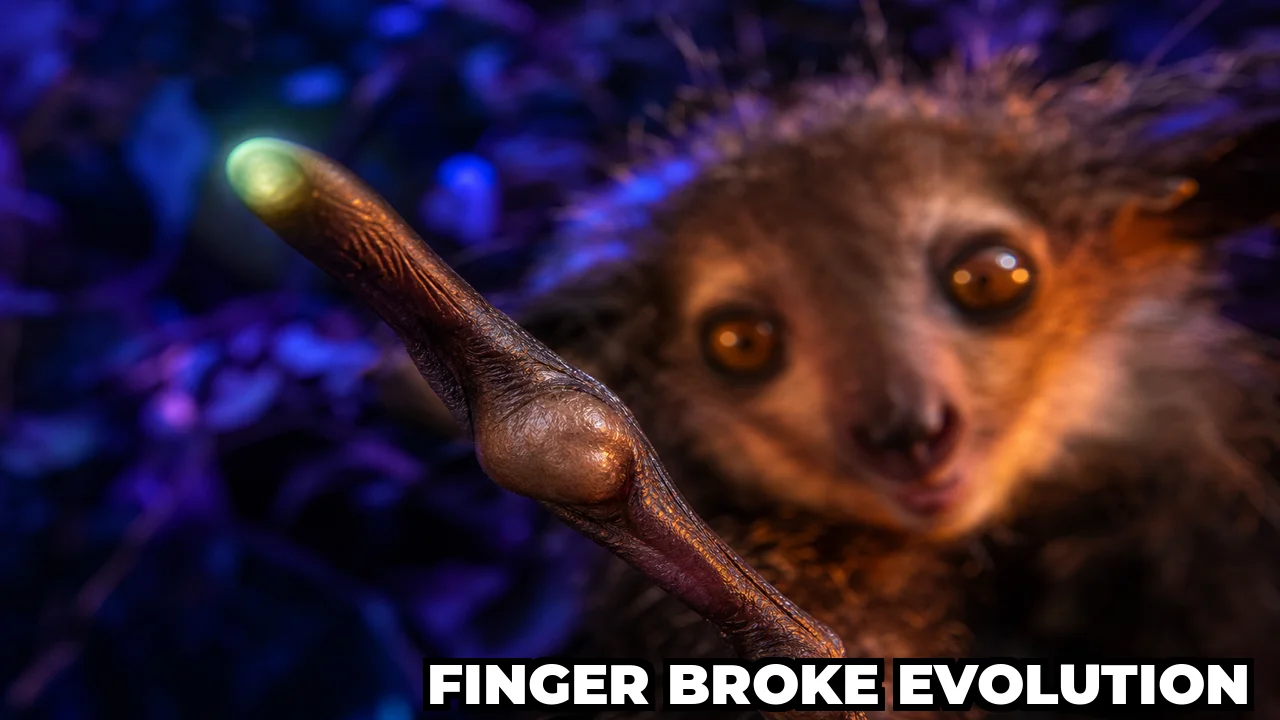 What Primate Uses Its Finger Like a Woodpecker to Find Insects?