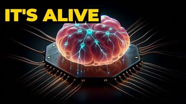 Can Scientists Really Grow Brain Computers From Human Cells?