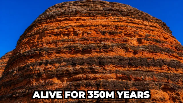 What Are the Bungle Bungle Domes and Why Were They Hidden Until 1983?