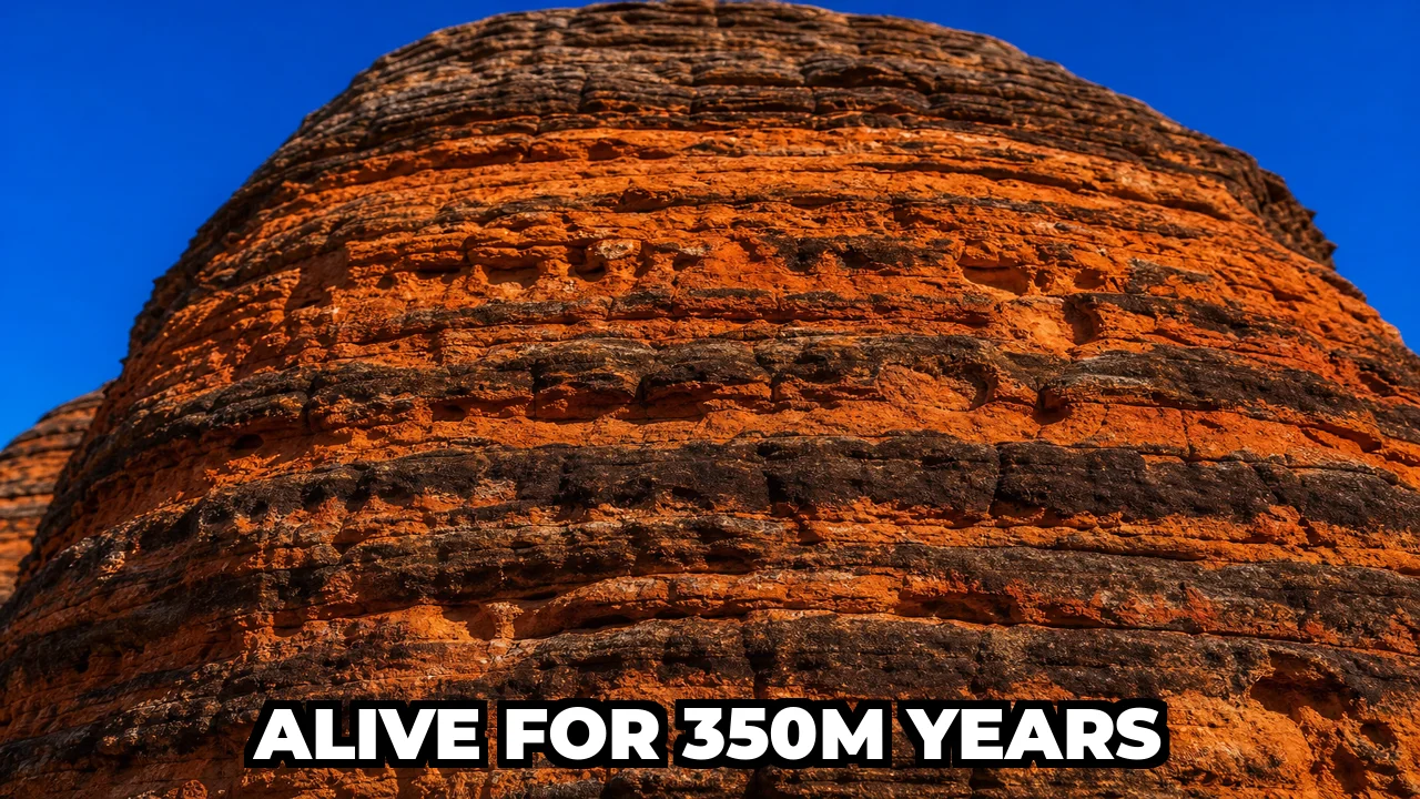 What Are the Bungle Bungle Domes and Why Were They Hidden Until 1983?