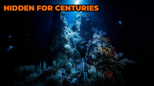 What Is the Massive Coral Reef Just Discovered Off Argentina?