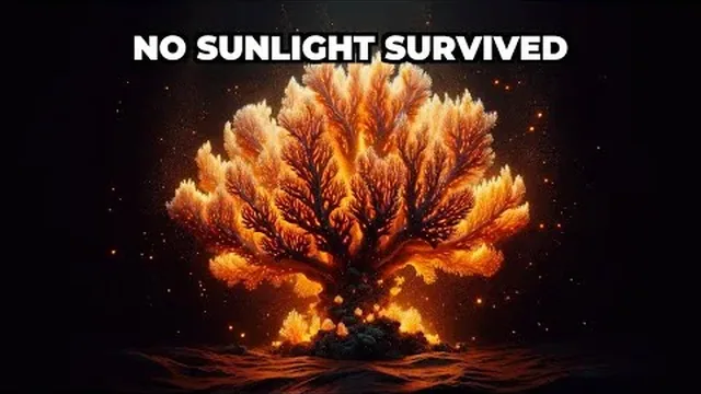 How Do Coral Reefs Survive Without Sunlight in the Deep Ocean?