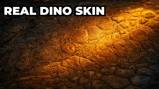 What Is the Edmontosaurus Mummy Nicknamed Medusa?