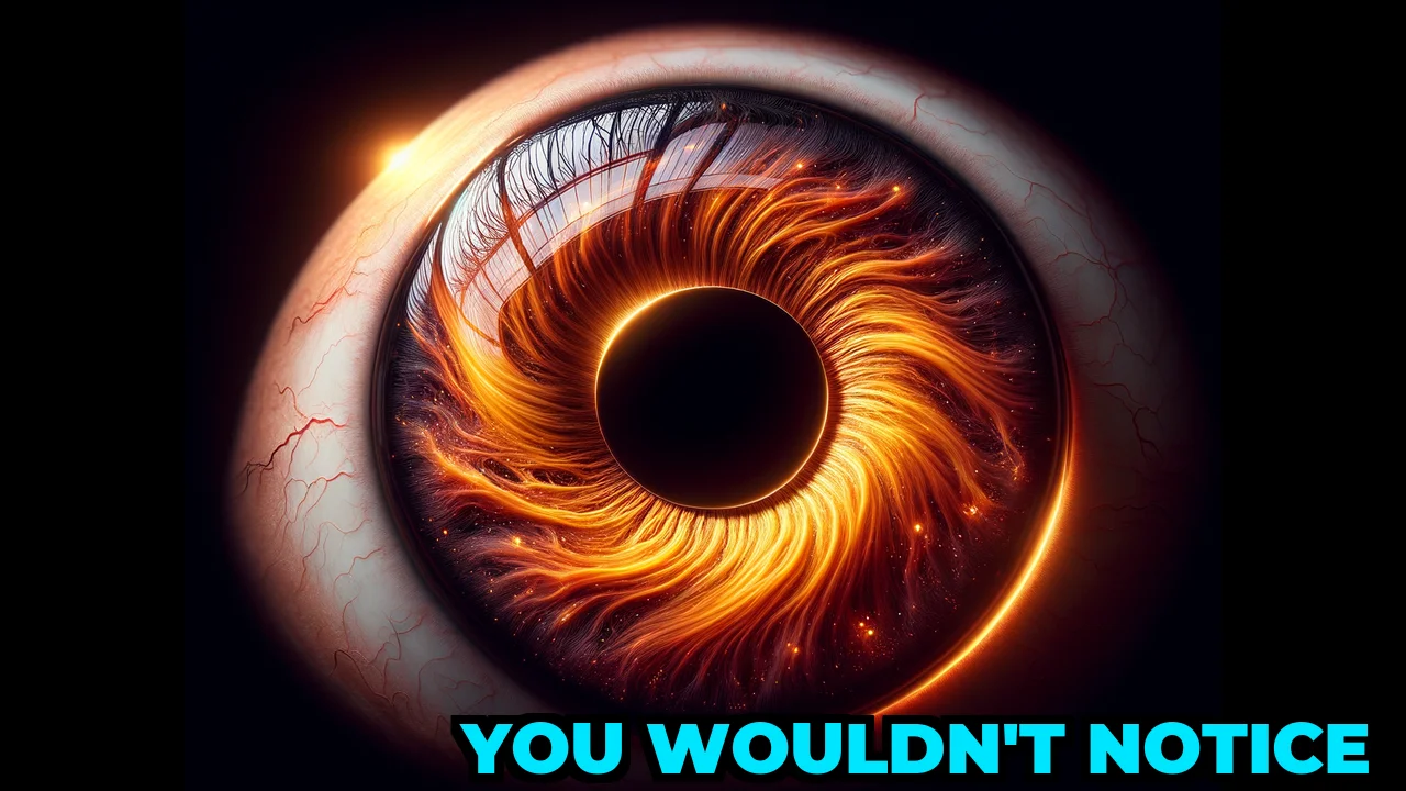 What Happens If You Fall Into a Black Hole?