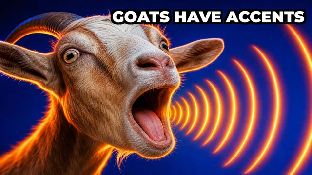 Can Goats Change Their Accent to Fit In With a New Herd?