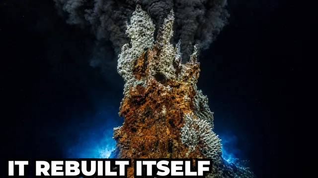 What Is the Godzilla Black Smoker on the Ocean Floor?