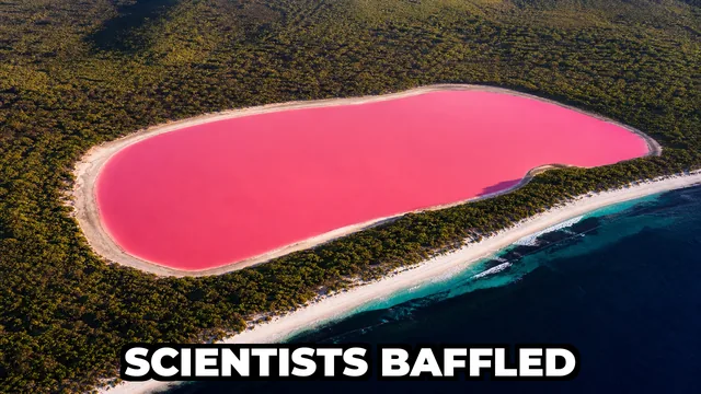 Why Is Lake Hillier in Australia Bright Pink?