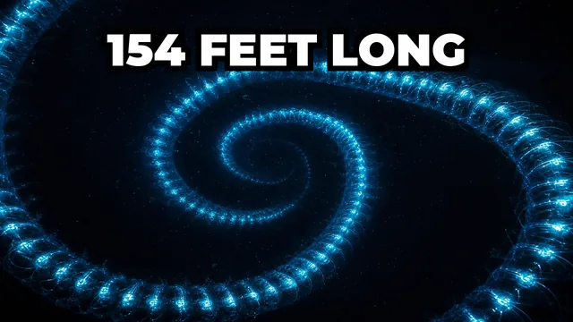 What Is the Longest Animal Ever Recorded on Earth?