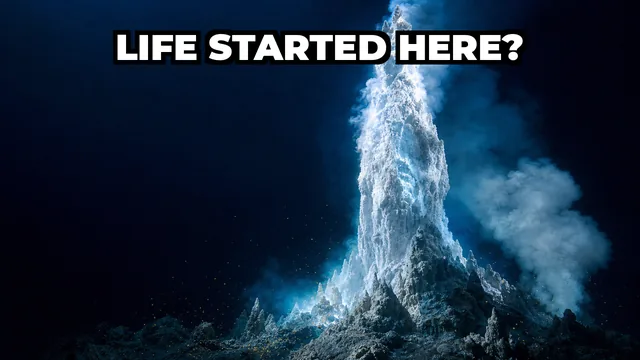 Could the Lost City Hydrothermal Field Be Where Life on Earth Began?