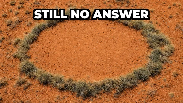 What Are Namibia's Fairy Circles?