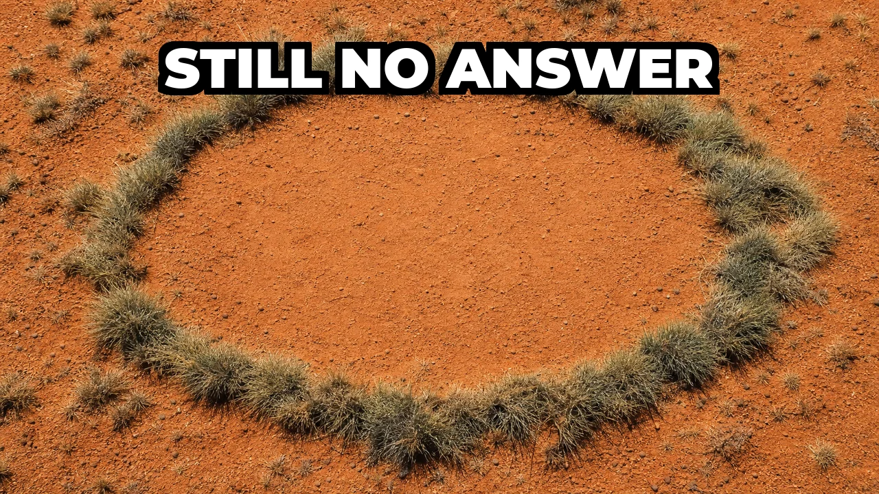 What Are Namibia's Fairy Circles?