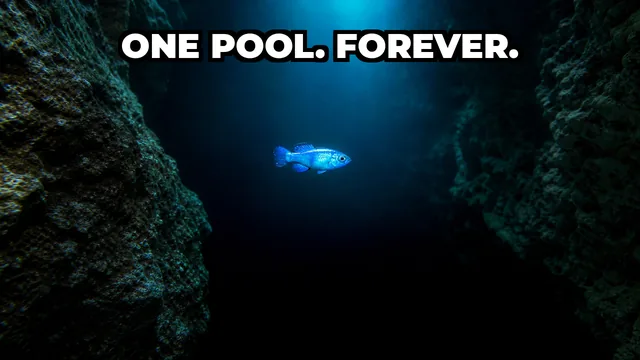 What Is the Rarest Fish on Earth?