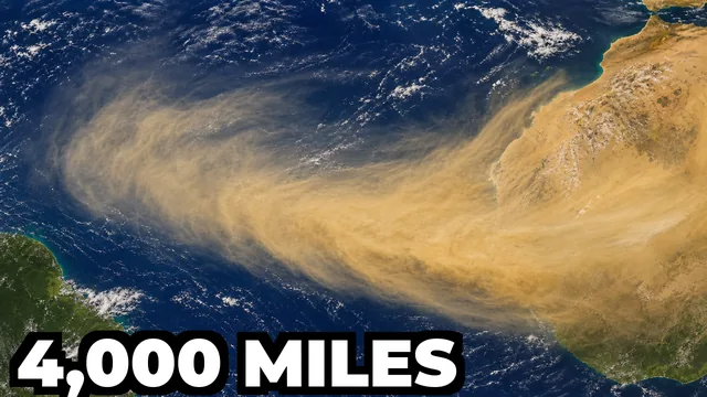 How Does Saharan Dust Fertilize the Amazon Rainforest?